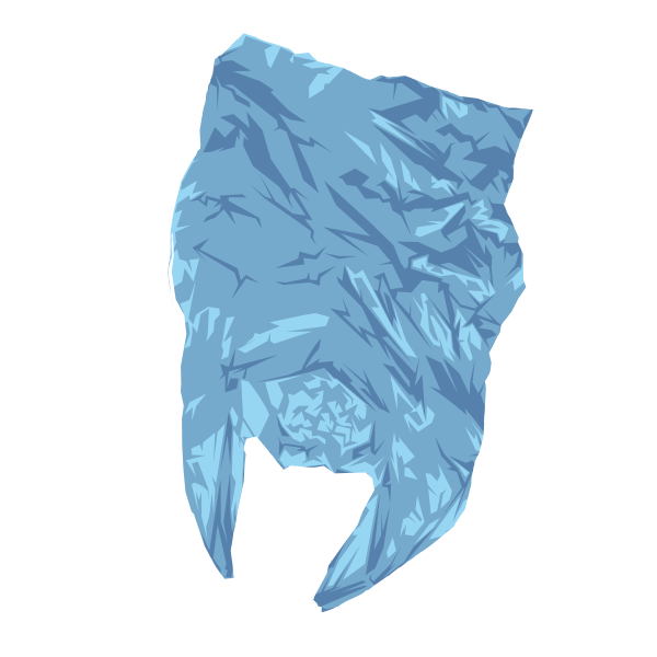 home-problem-bag Turtle