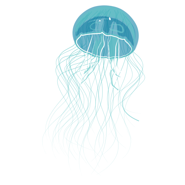 home-problem-jellyfish Turtle